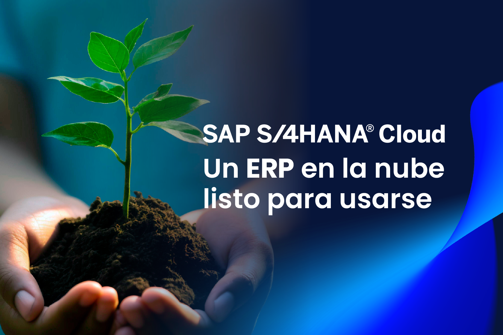 2Campaña GWS 2024_Landing_Landing 04 GWS 2Campaña GWS 2024_Landing_Landing 04 GWS
